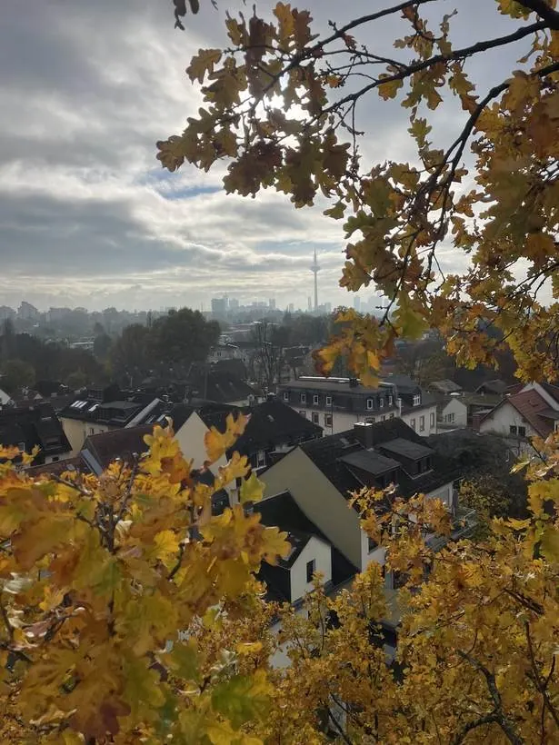Herbstlicher Blick über Frankfurt am Main